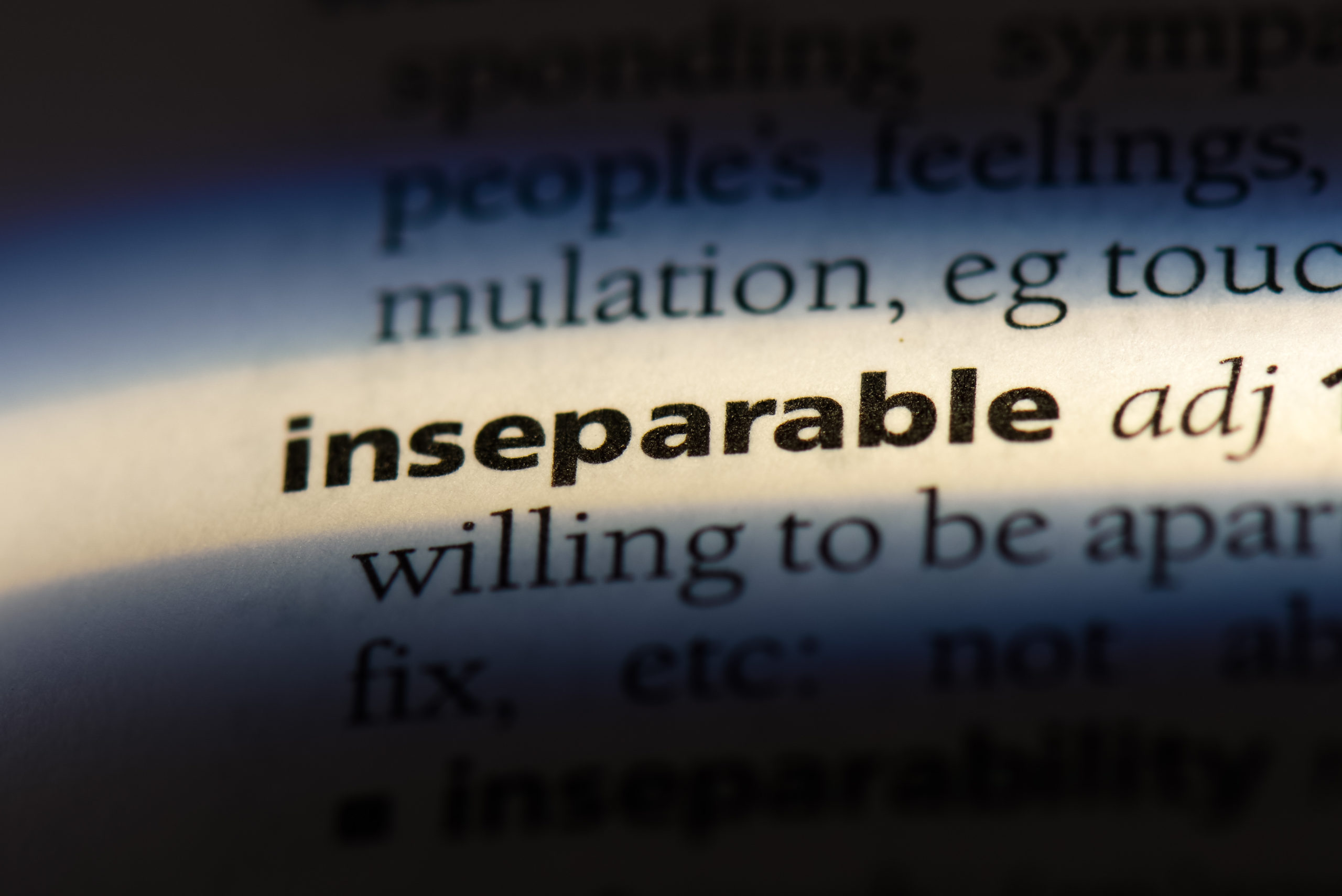 Inseparable,Word,In,A,Dictionary.,Inseparable,Concept.